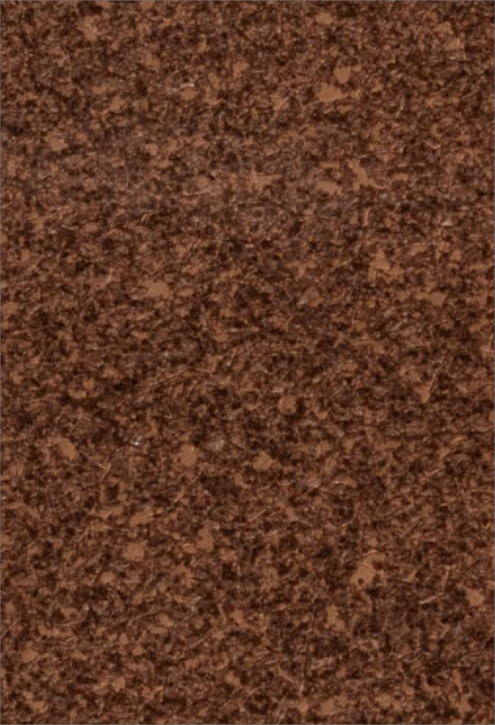 THE TRANSPARENT EFFECT